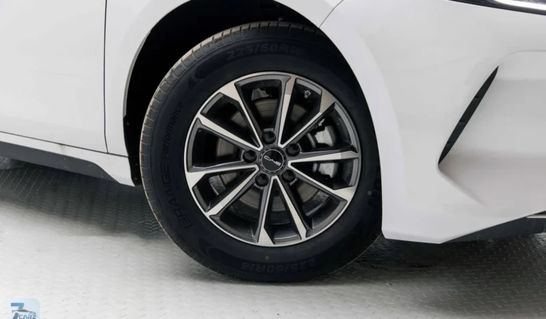 
								BYD Destroyer 05 2025 full									